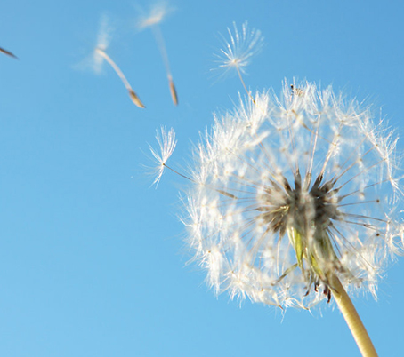 ���ѻ� ��(�й���)���޹�˾����